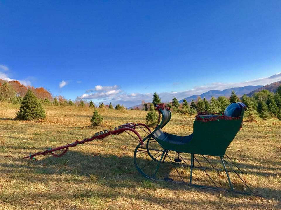 Dancing Hill Christmas Tree Farm Home Facebook