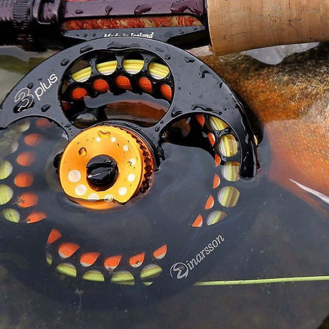 shimano 20 40 reel TLD Lever Drag TLD15 Falcon Rods Animal_Farm Animal The Talica offers immense Style:6/0 Colorado