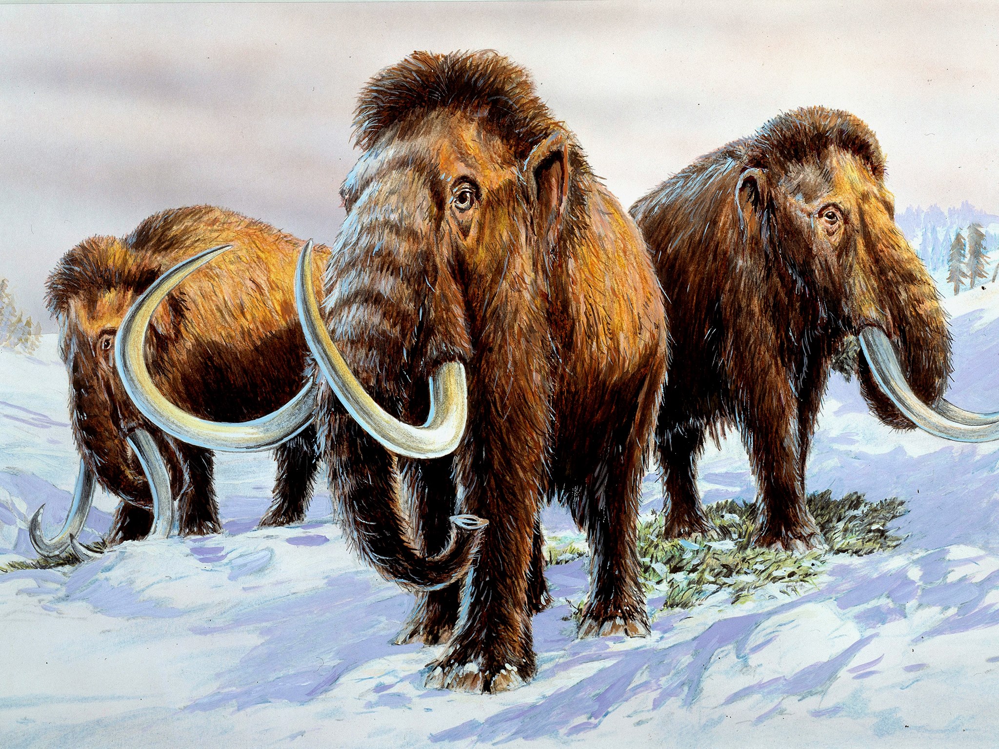 Alton - We're now at the point that it is almost possible to de-extinct ...