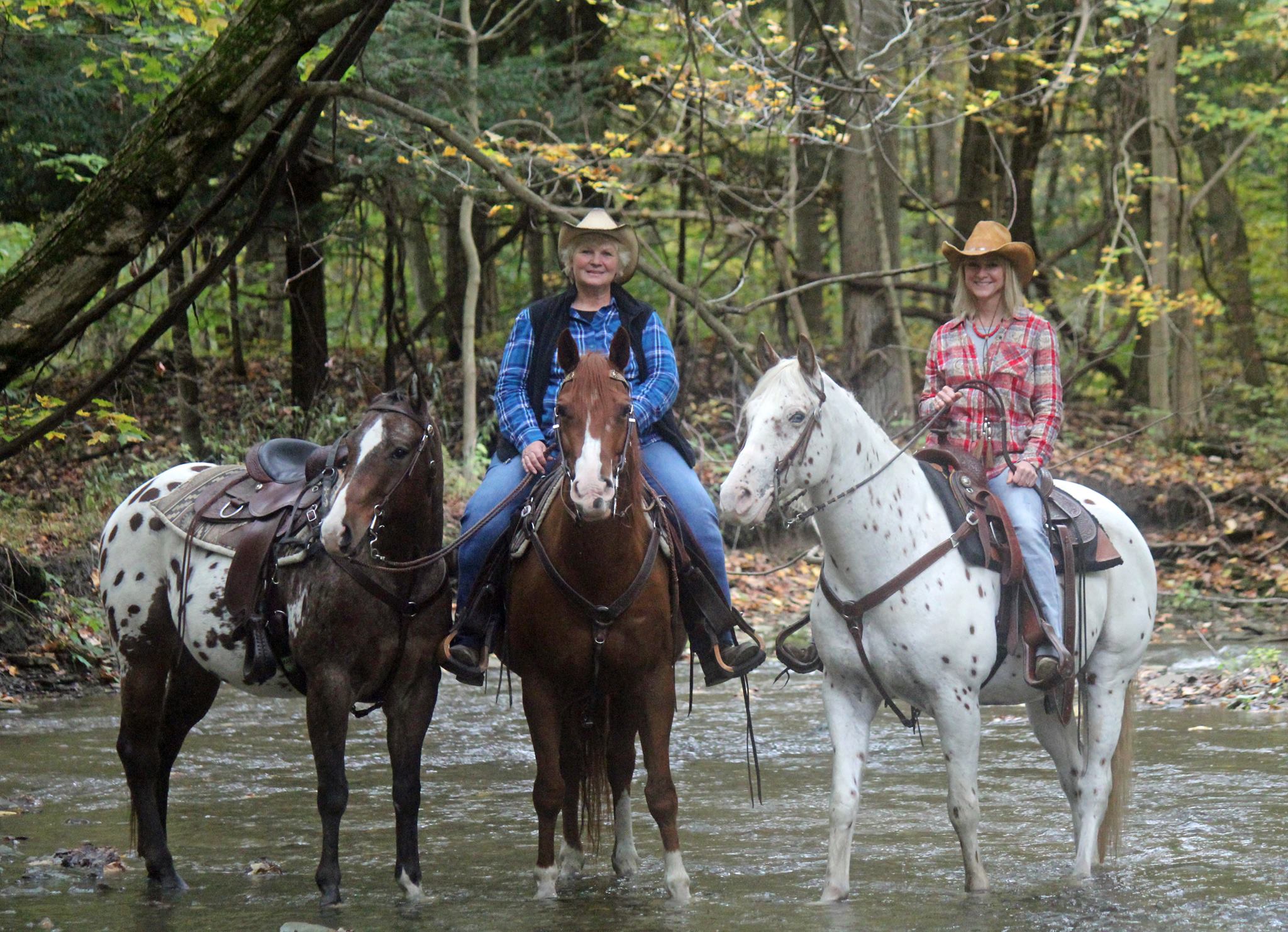 Double D.A.B. Riding Stable... - Double D.A.B. Riding Stable
