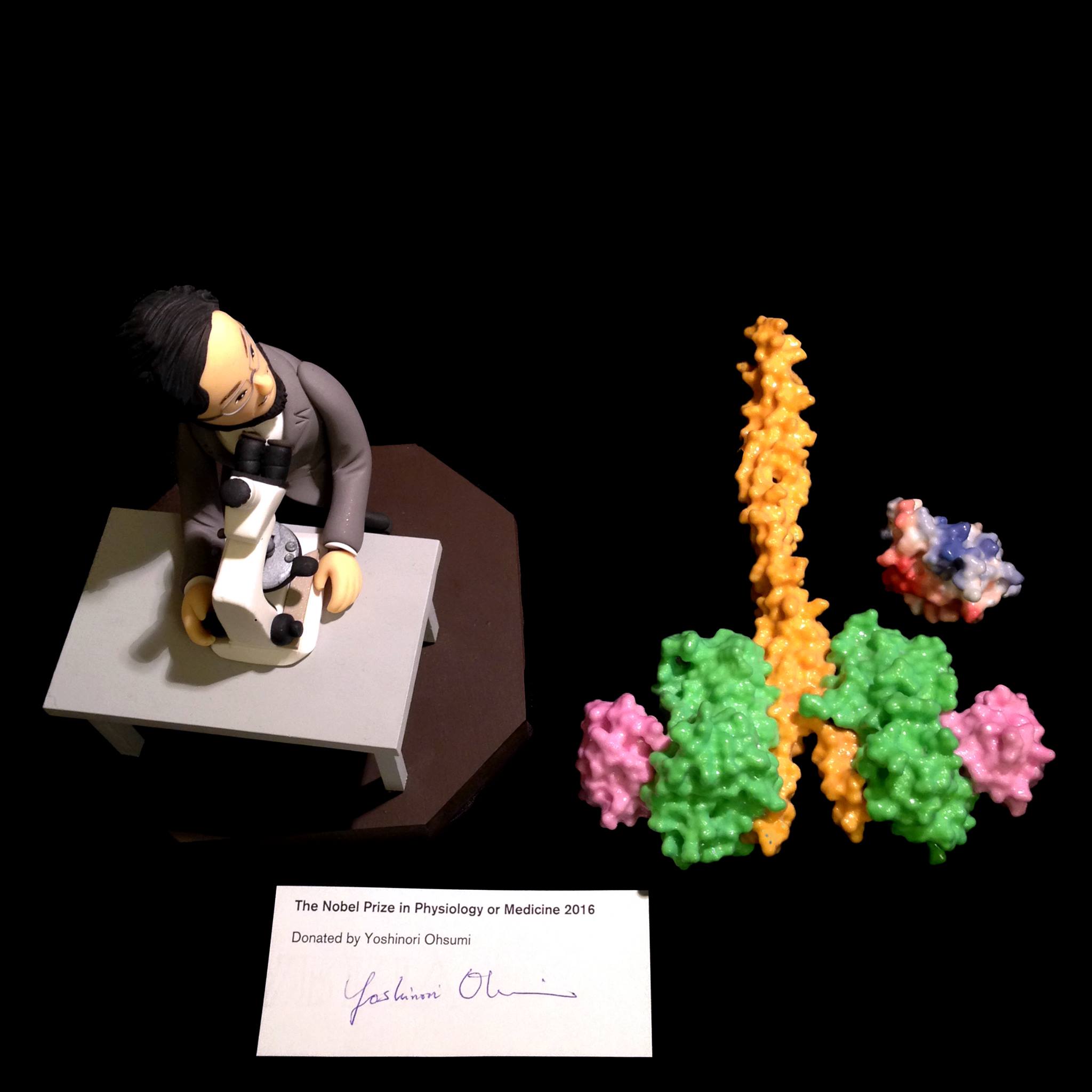 Nobel - A model of himself! Professor Ohsumi, who received the Nobel ...