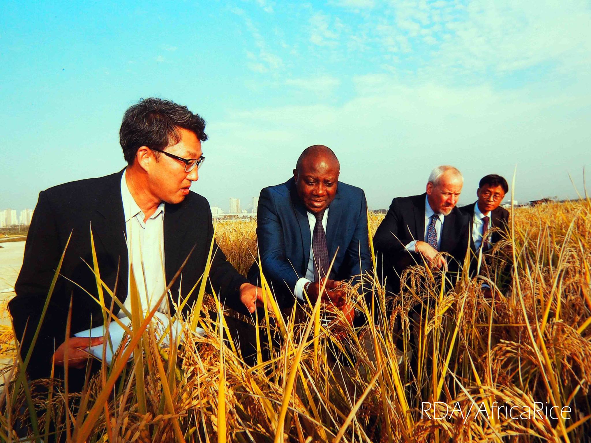 Africa Rice Center - Signing ceremony of a Memorandum of Understanding ...