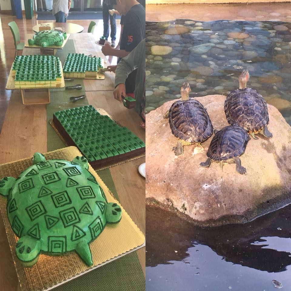 The VMware 🐢s wish you a very🎄Merry... - The VMware Turtles