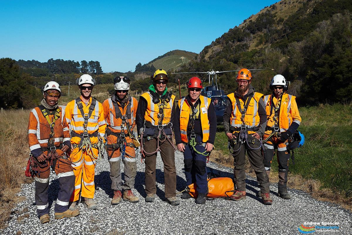 Some of the fearless workers... - Andrew Spencer Photography