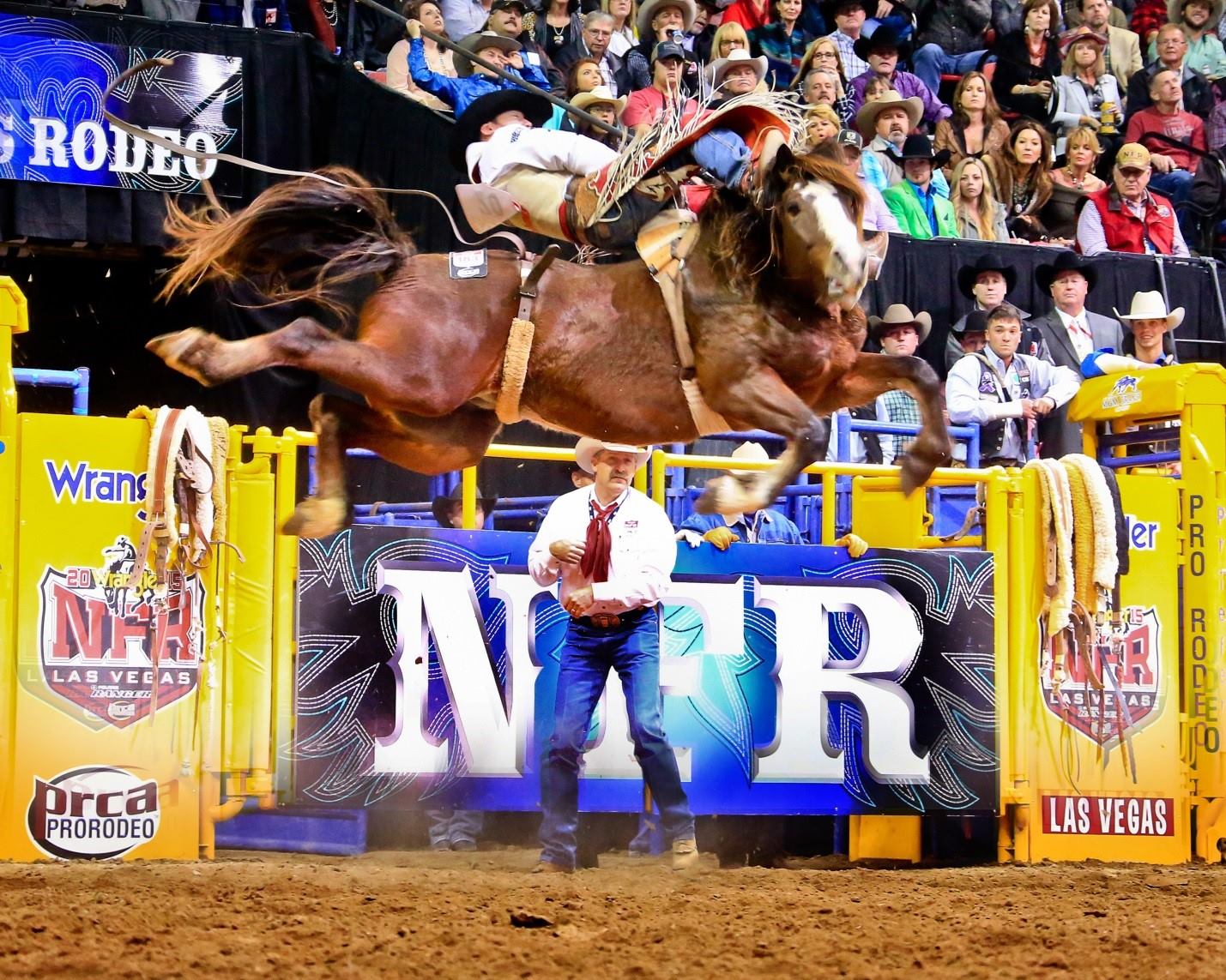 Professional Bronc Riders - Past, Present & Future | Facebook