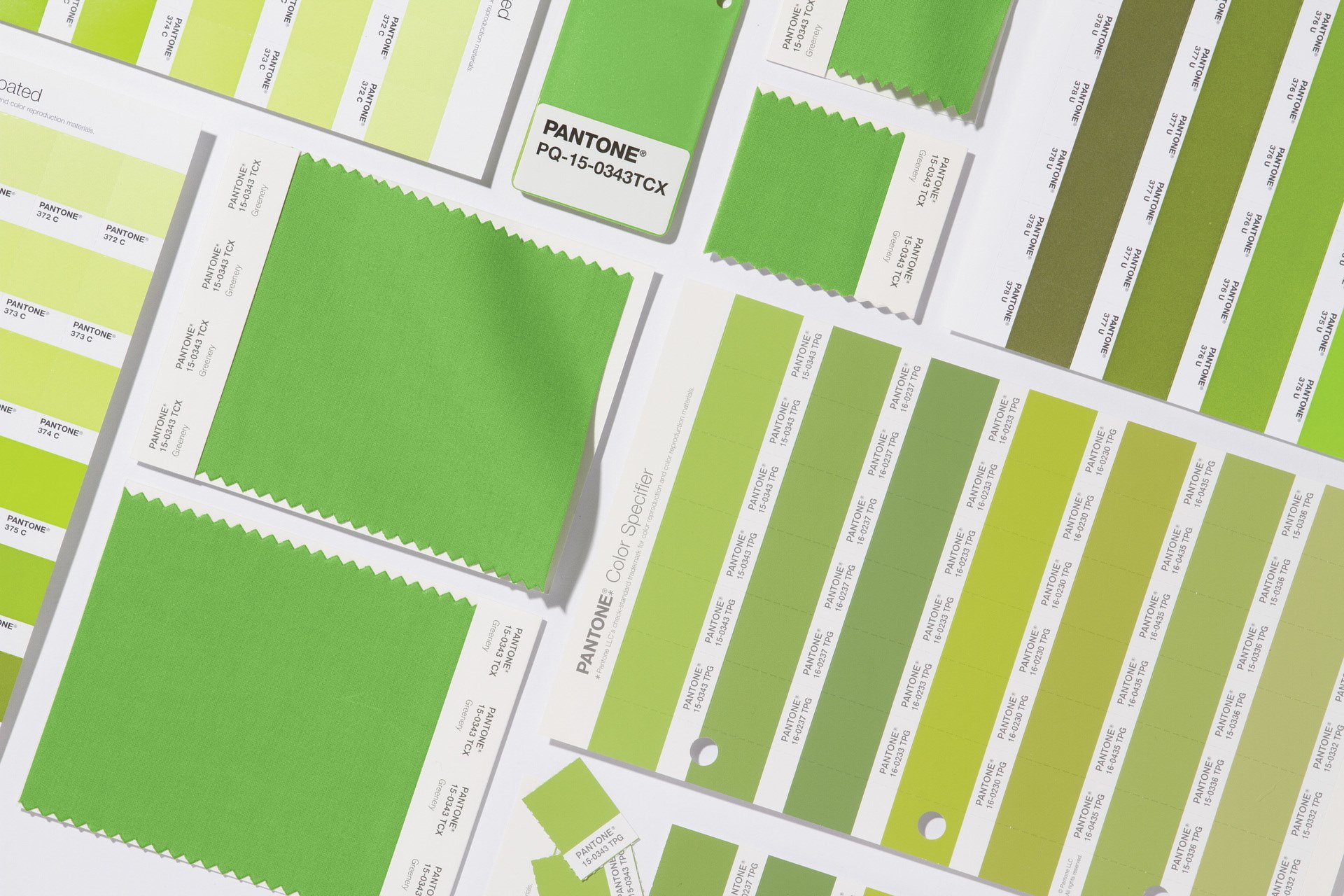 We are loving this fantastic feature highlighting our Color of the