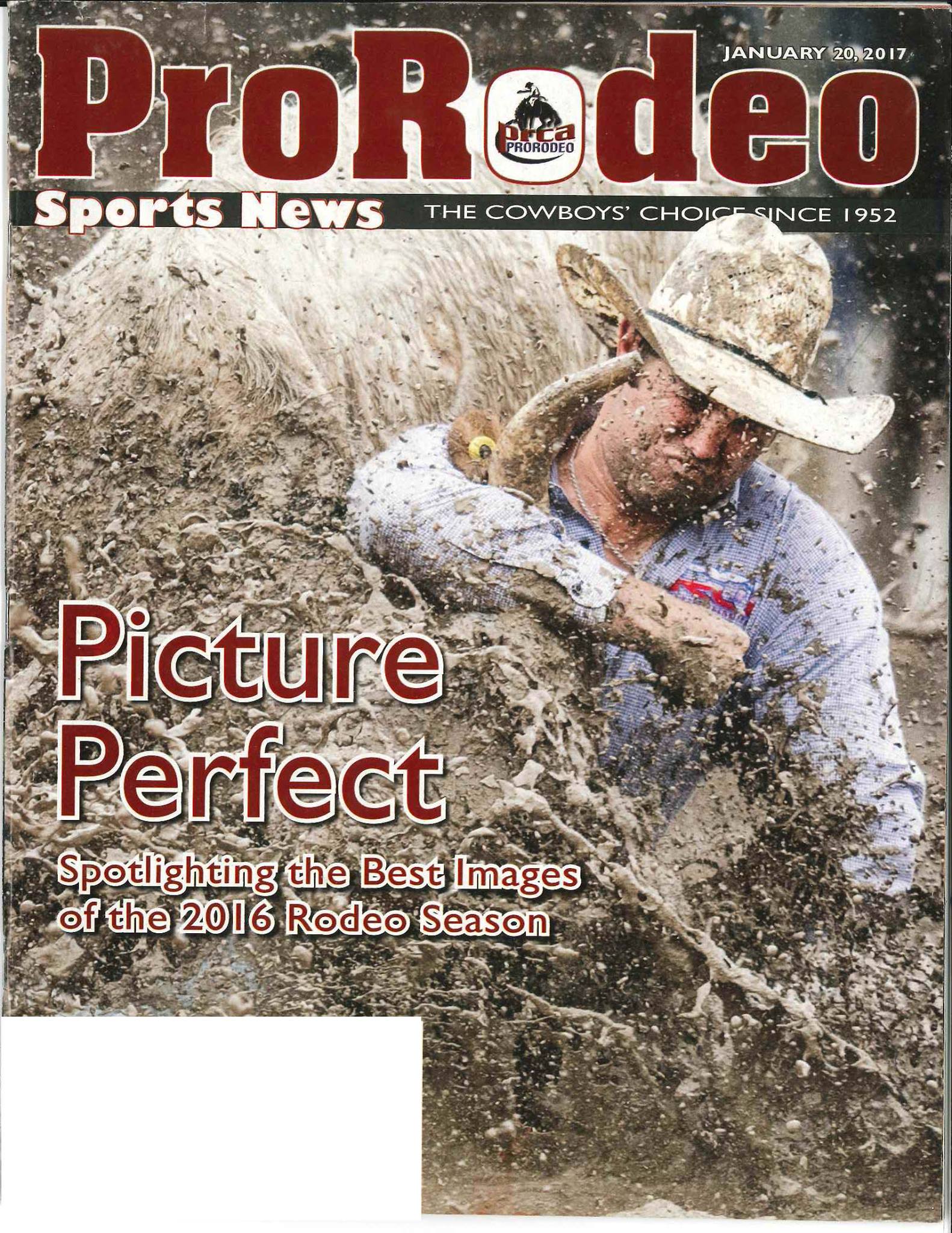 Weekley Brothers Davie... - Weekley Brothers Davie Pro Rodeo