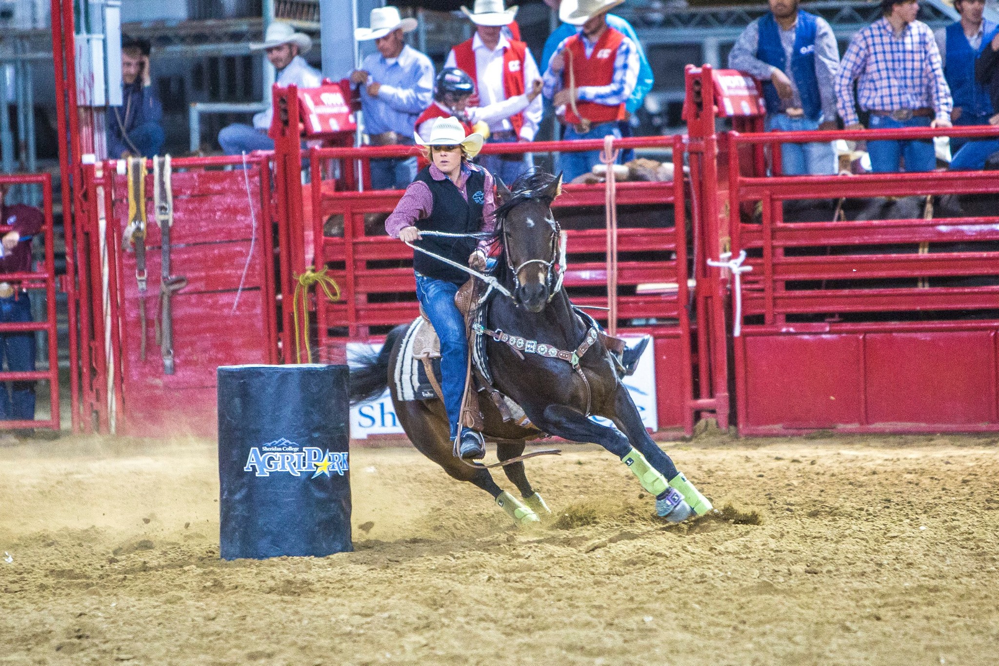 The Sheridan College Rodeo teams are... - Sheridan College | Facebook