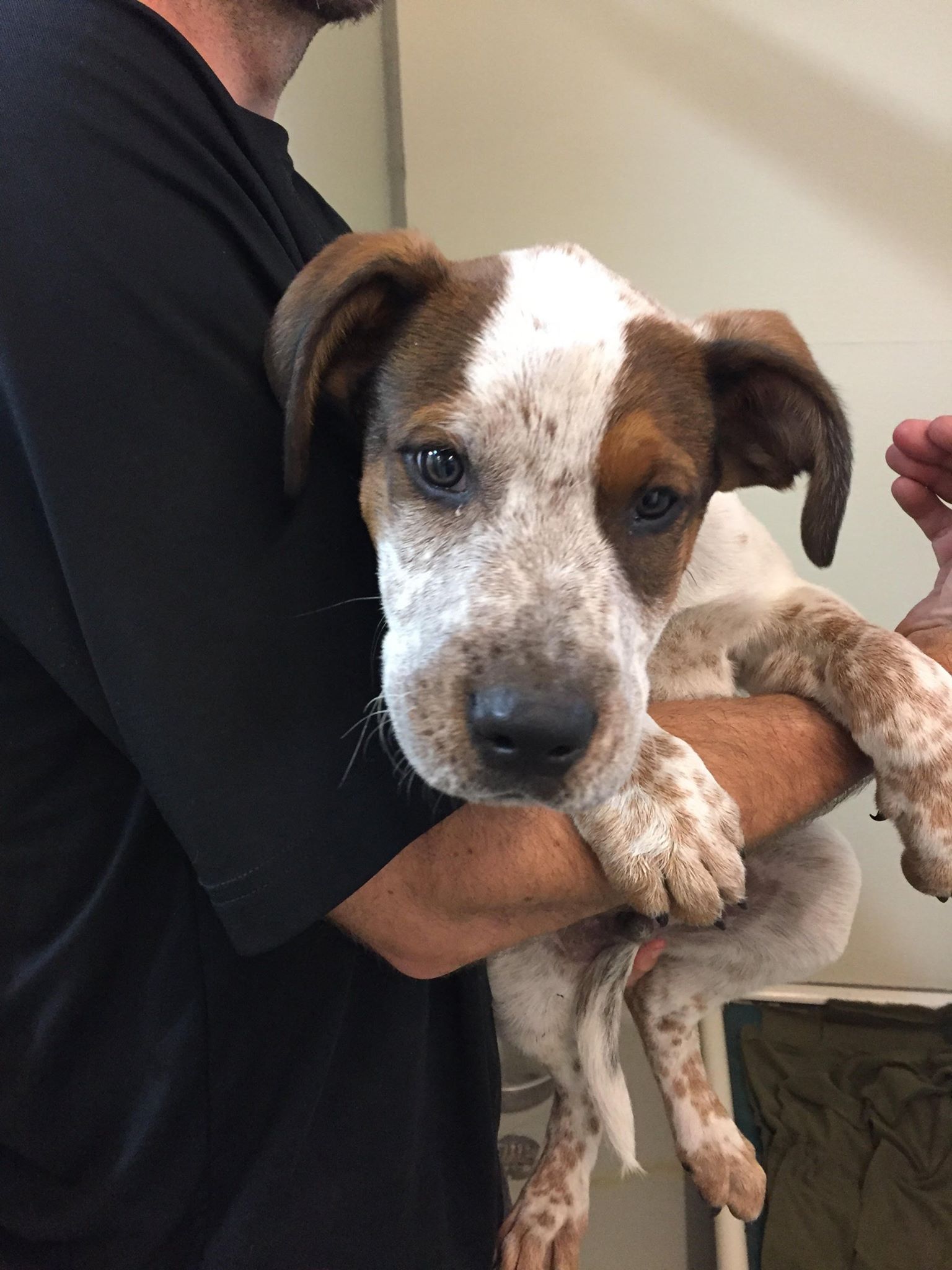 This little man found near 9 mile prairie, Johnsrud park. We are