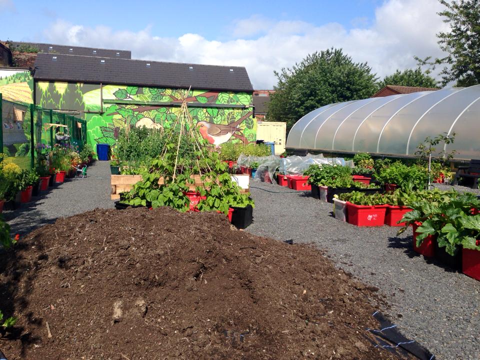 Northern Ireland Community Gardens | Would anyone know where I’d get a ...