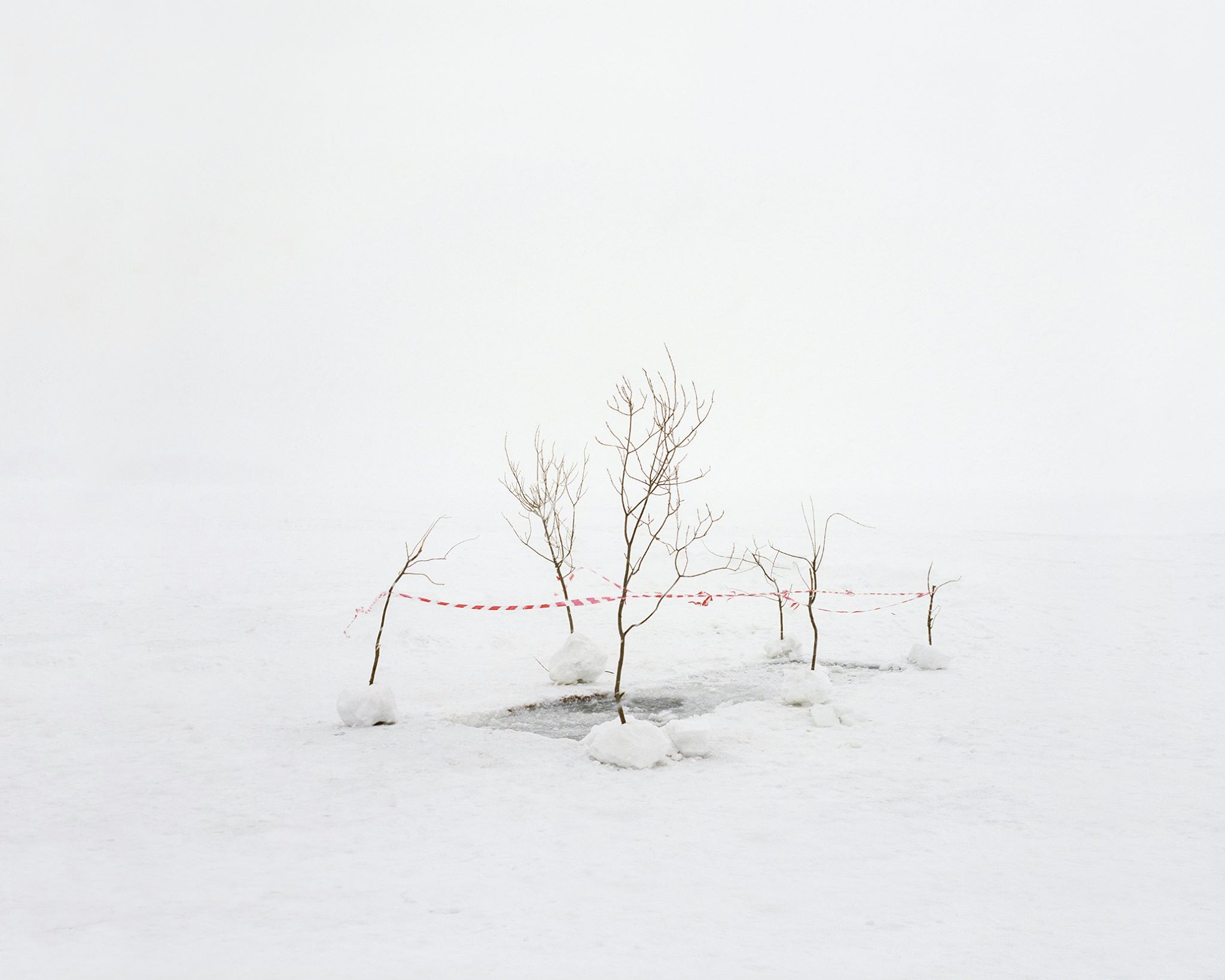 Photographer Eric Lusito's new monograph captures the strange