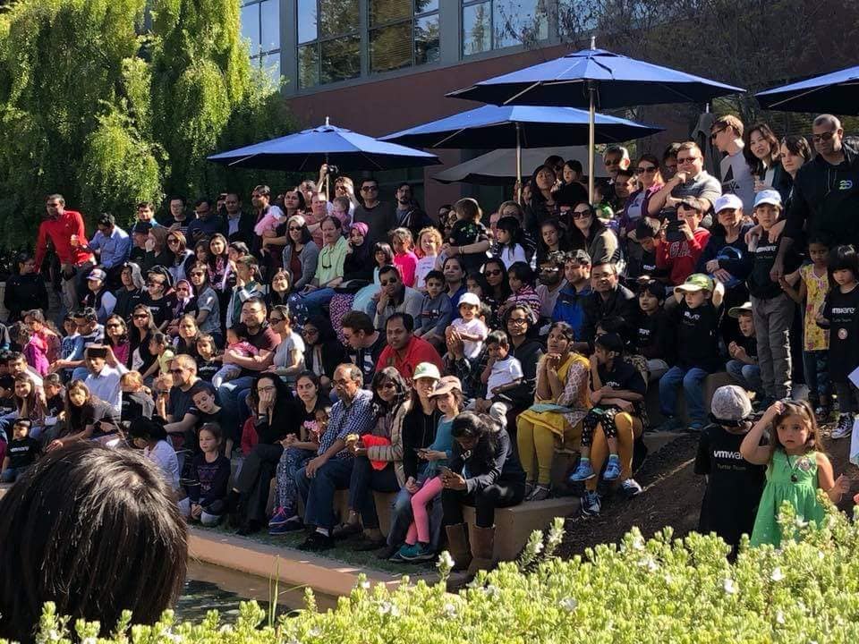 Yesterday #VMware celebrated Turtle... - The VMware Turtles | Facebook