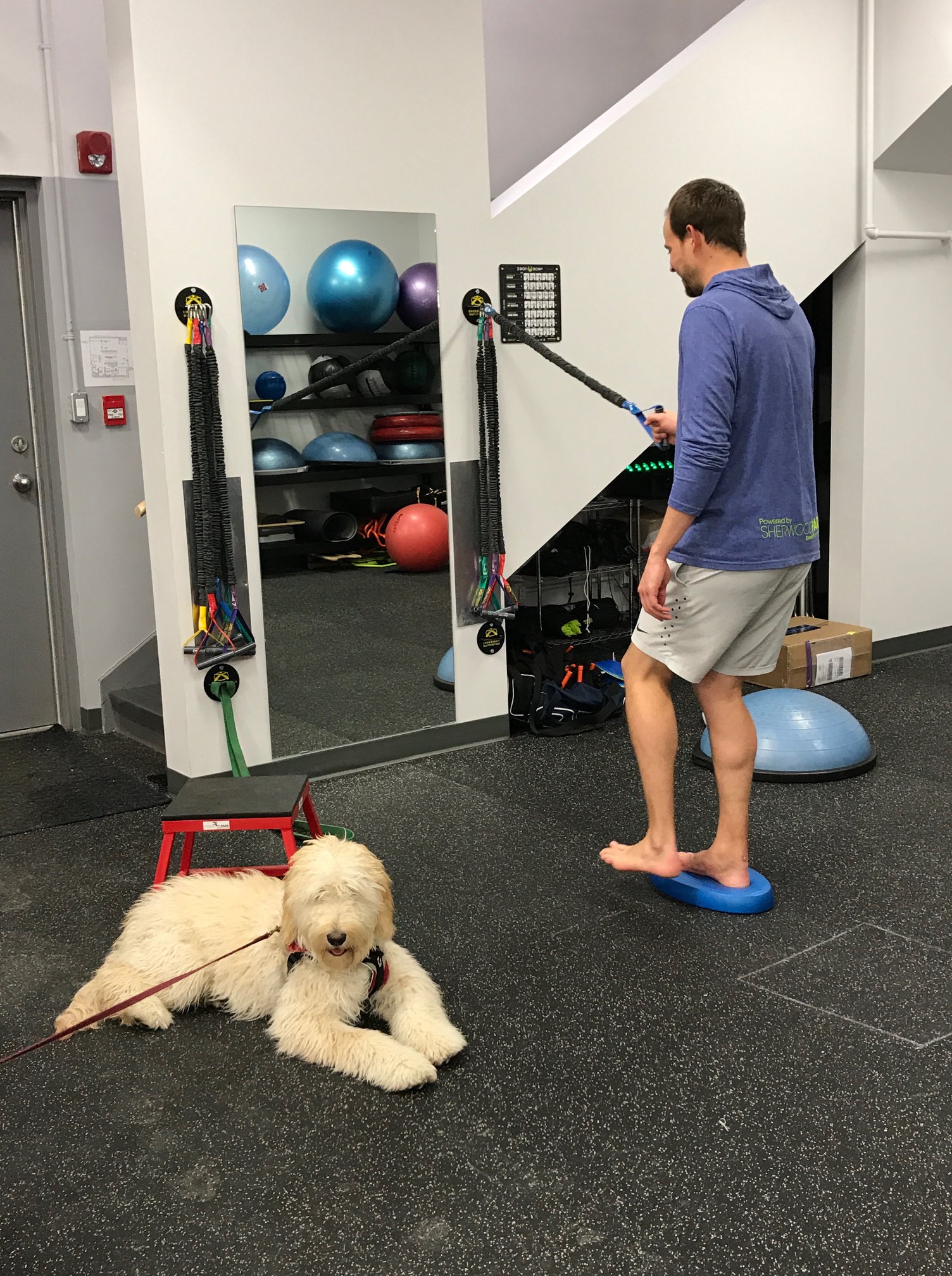 The Bridge by Sherwood Park Sports Physiotherapy | Sherwood Park AB