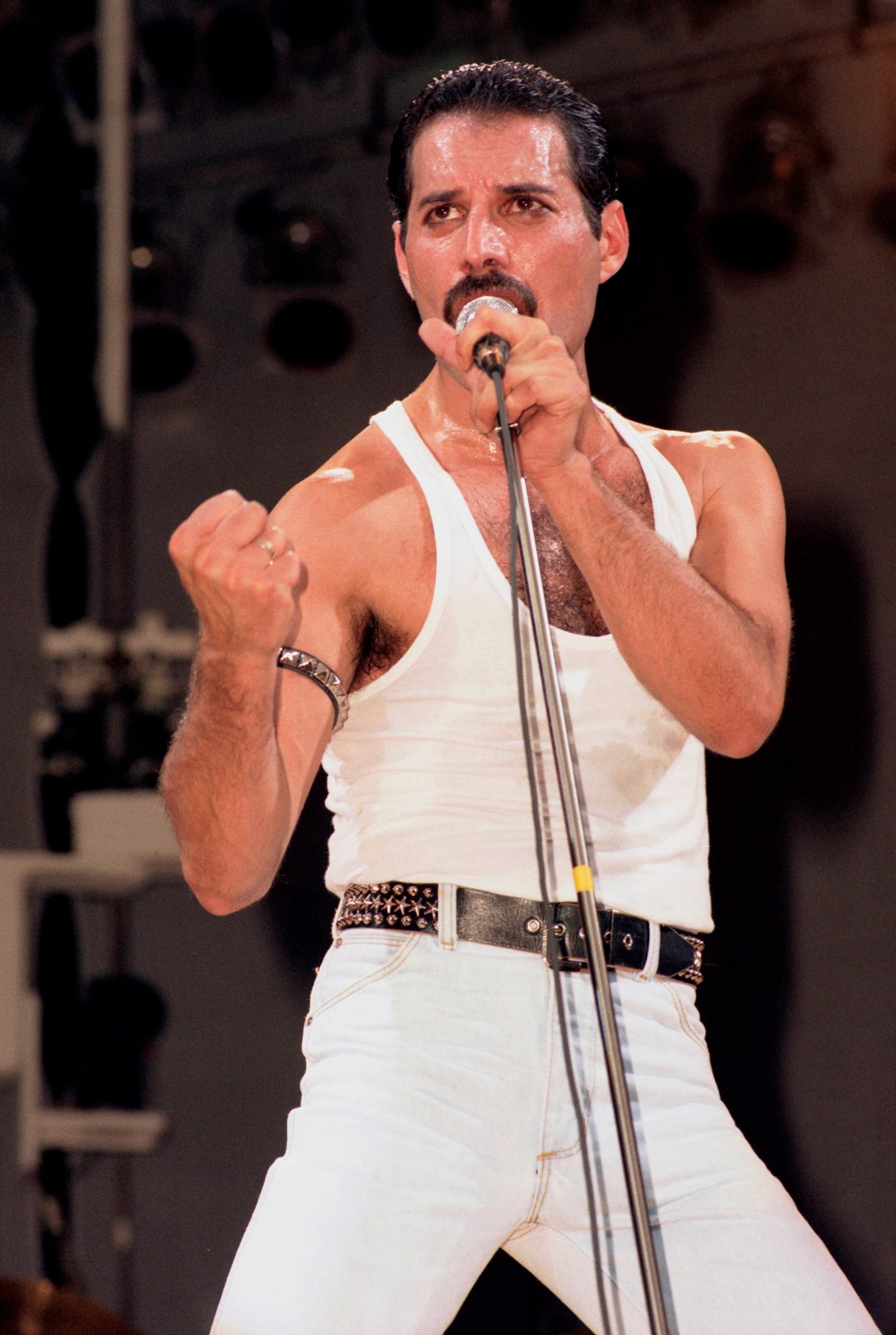 HAPPY BIRTHDAY to our wonderful ever loved FREDDIE MERCURY 5  