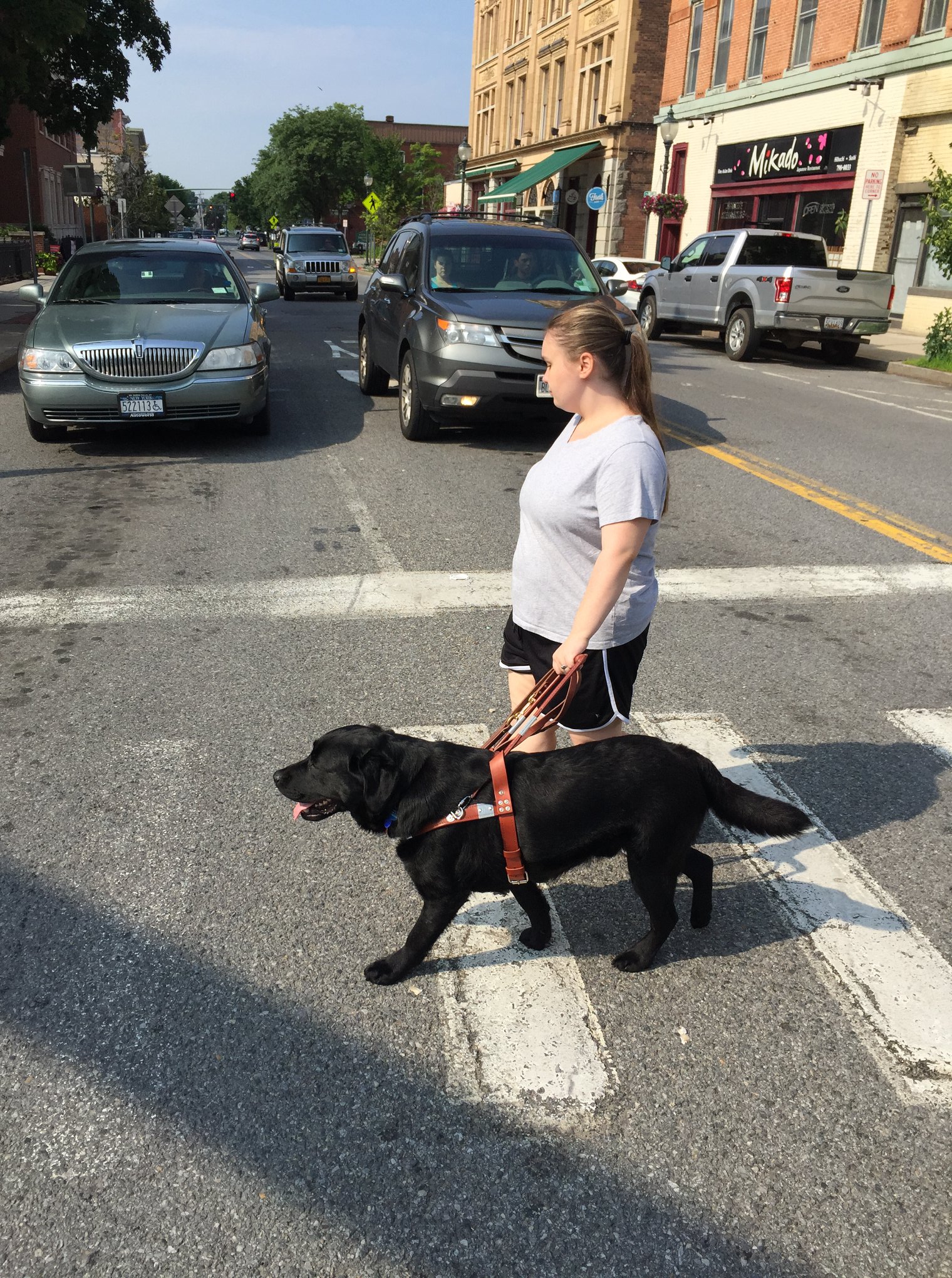 All of these Freedom clients would be... - Freedom Guide Dogs