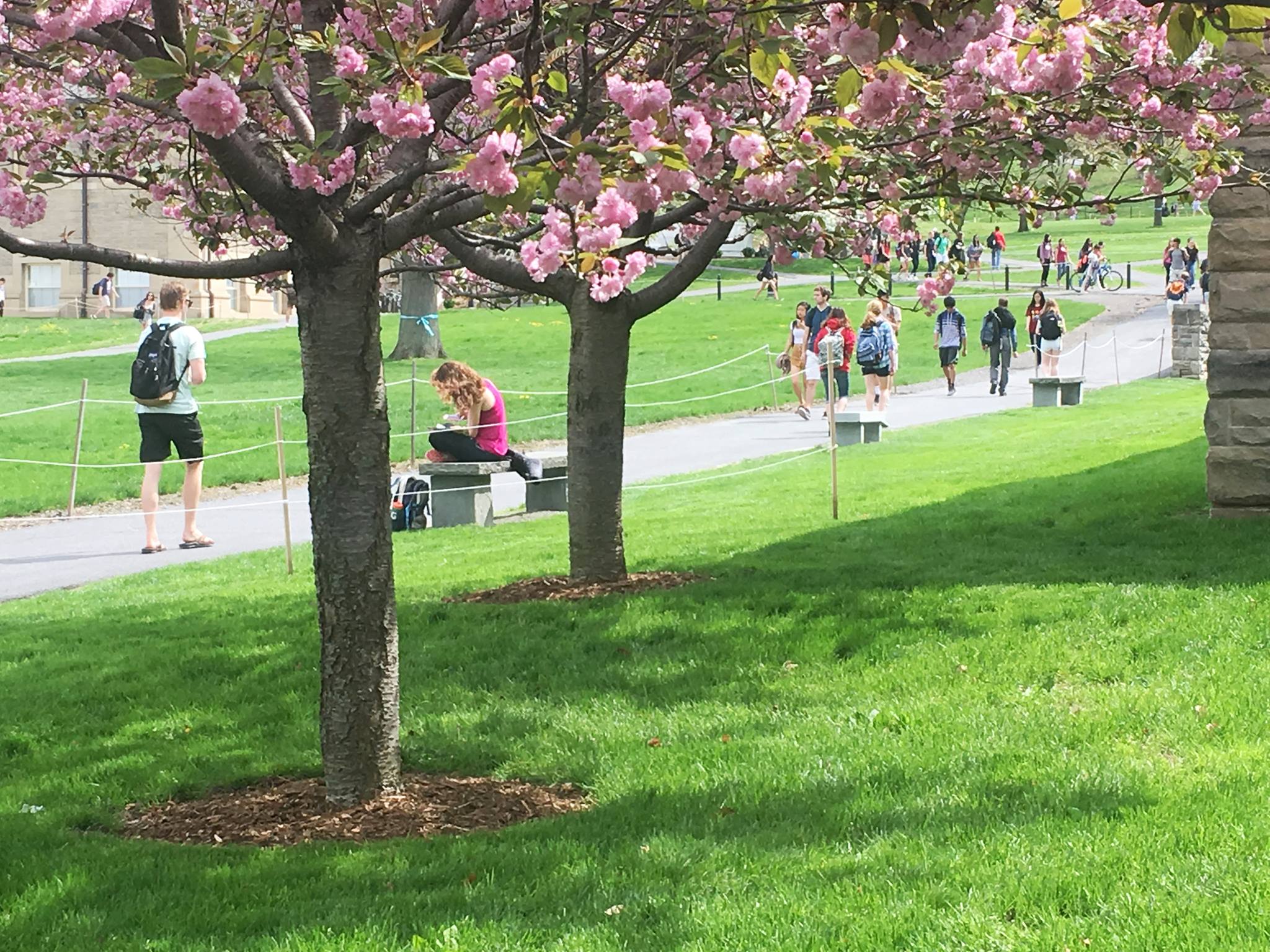 Cornell University Spring