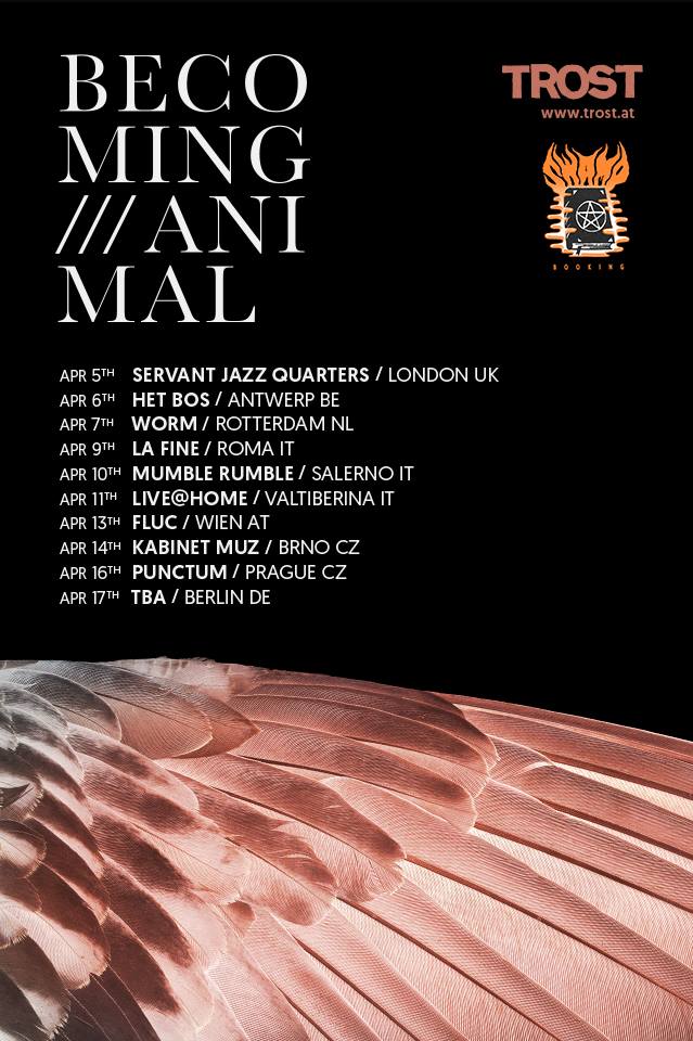 Trost Records Finally Going On Tour And Coming To Facebook