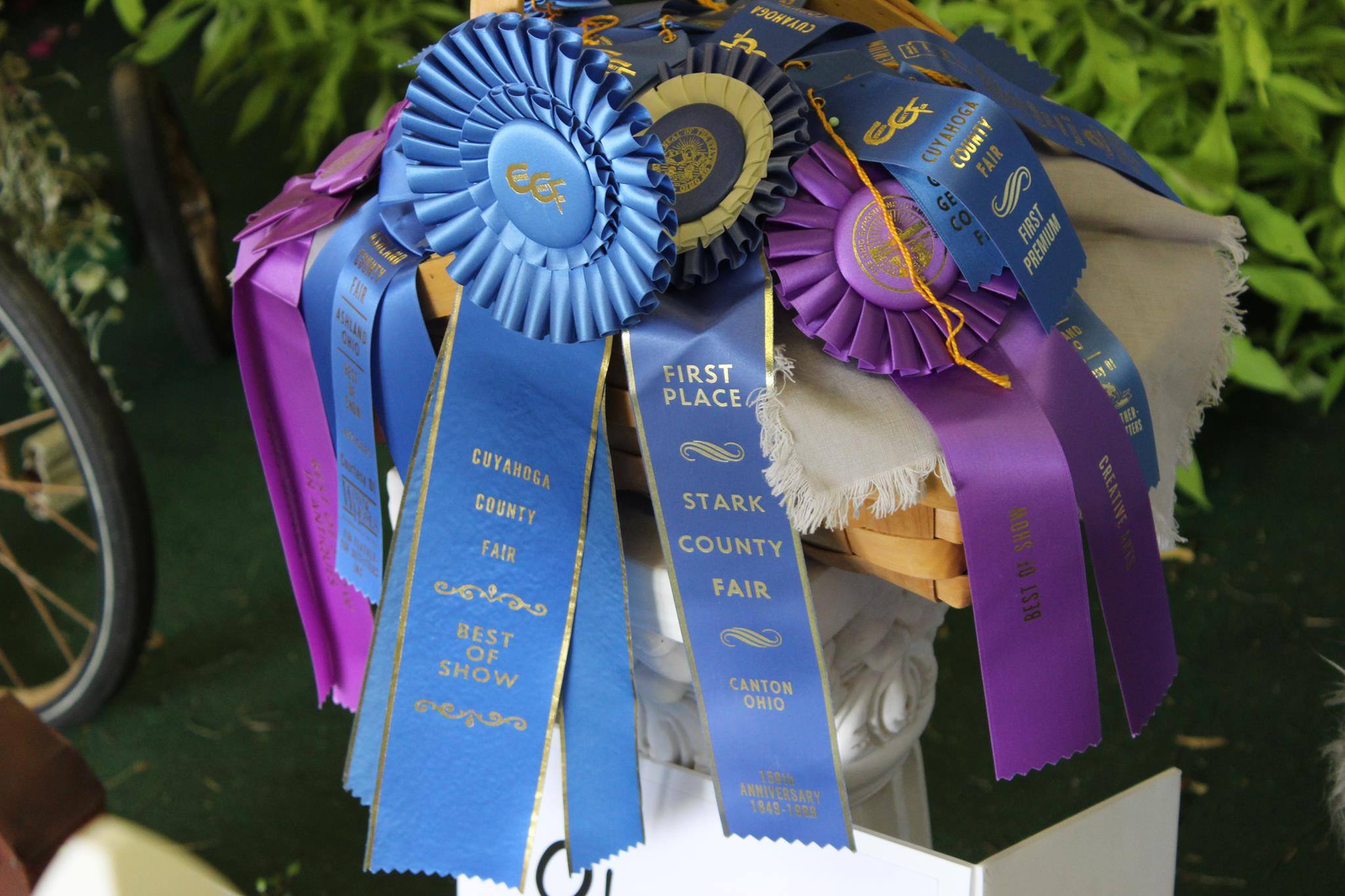 Fair Warning! (pardon the pun ... we... - Stark County Fair | Facebook