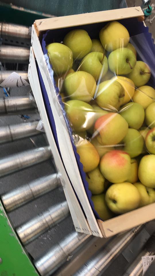 Fructus Meran AG added a new photo. - Fructus Meran AG