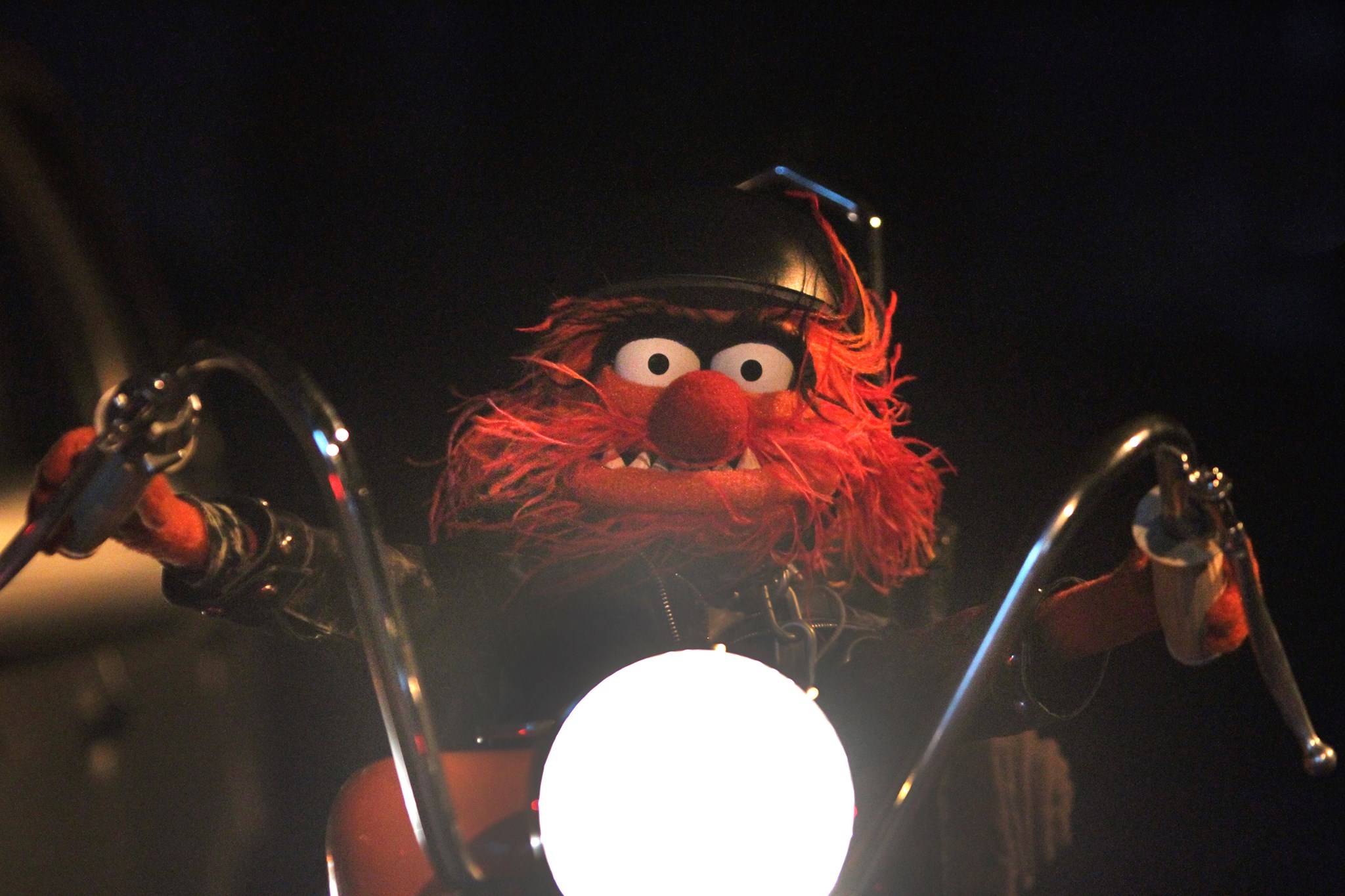 animal from the muppets motorcycle helmet Cover - Lion Keith Moon Animal Muppet Motorcycle Helmet DIY