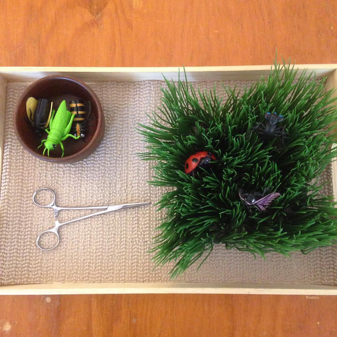 Little - Transferring is a staple activity in the Montessori preschool ...