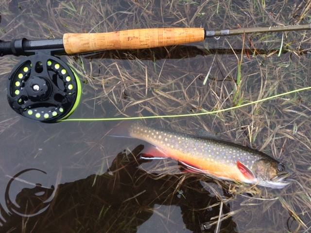 calculator by fishing net Guide – Montana Net Co Size:F864XF-4 / 8'6