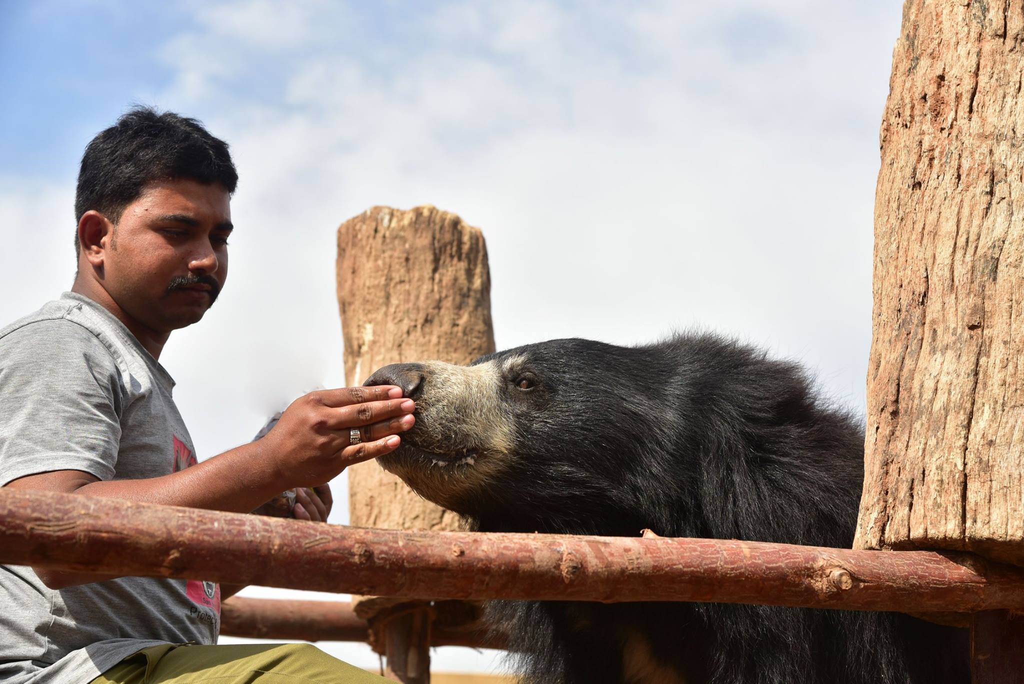 International Animal Rescue... - International Animal Rescue