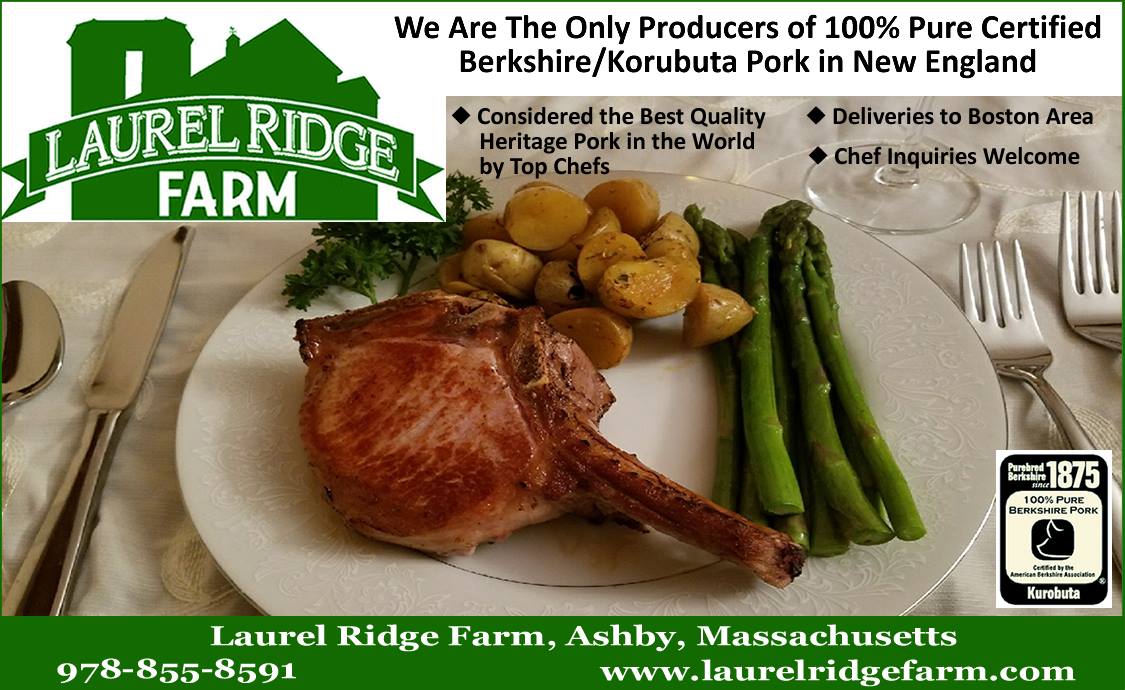 Laurel Ridge Farm | Ashby MA