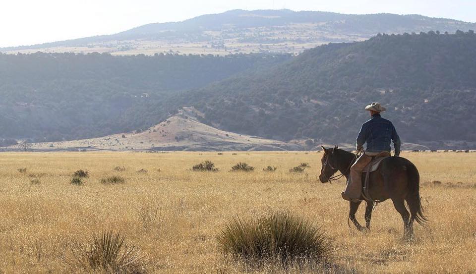 Rockin K Bar Photography - “This is where the Cowboy Rides Away” Every ...