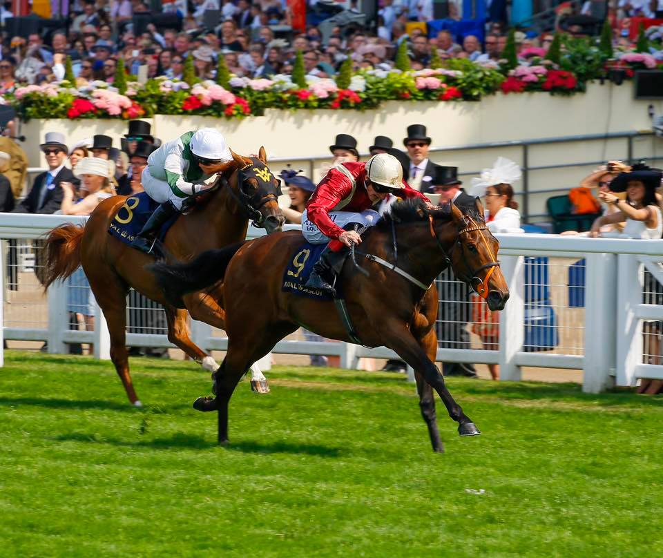British Horseracing... - British Horseracing Authority