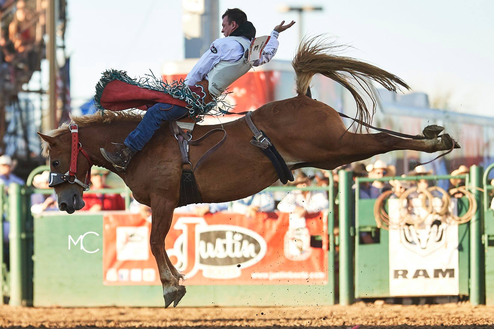Meet the stars of the Flying U... - Flying U Rodeo Company | Facebook