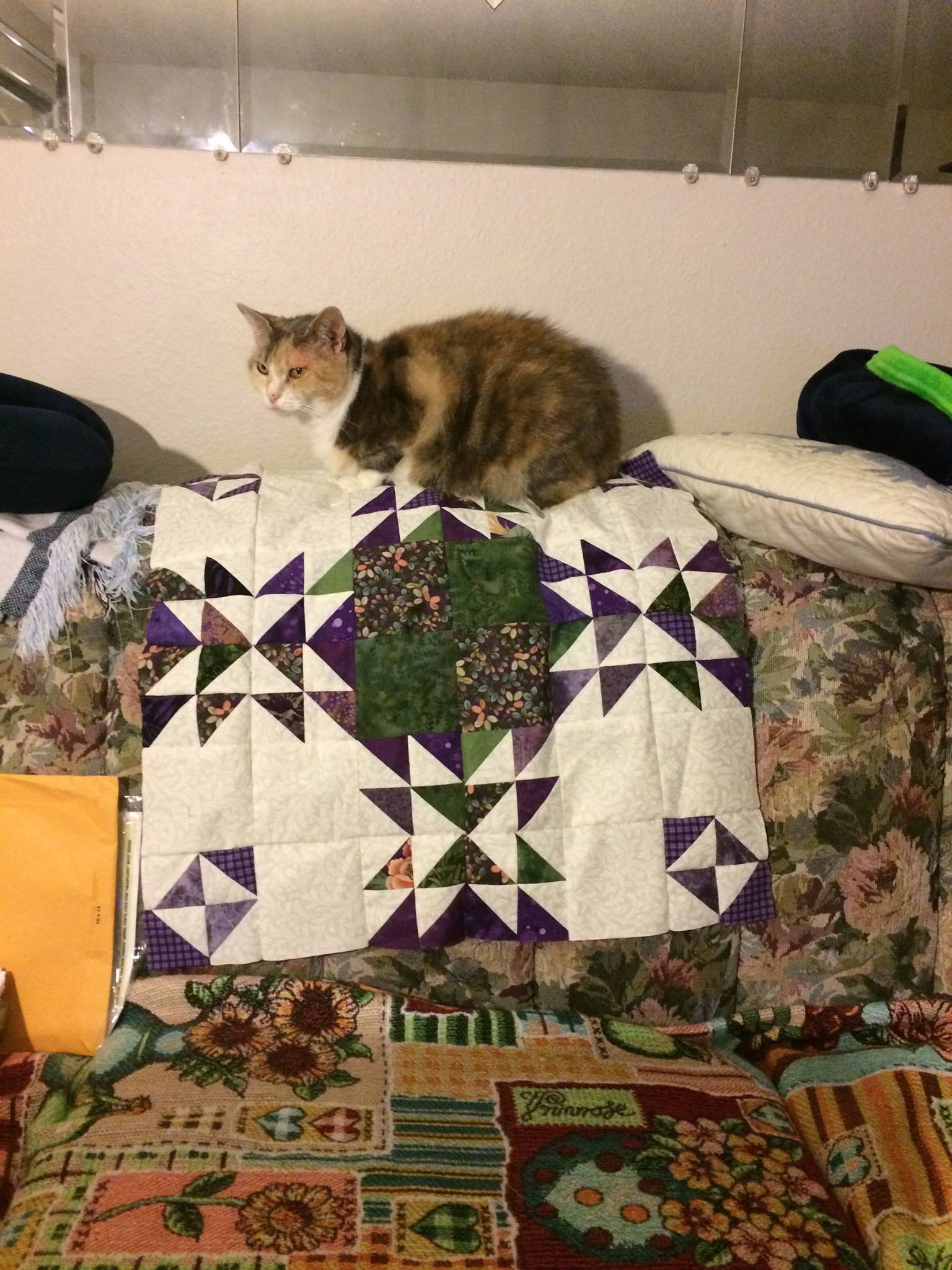 Couvre-lit Bébé Ou Plaid Chatons Colorés Scrappy Cats - Quilt Top Fait Main, Idéal Cadeau Naissance