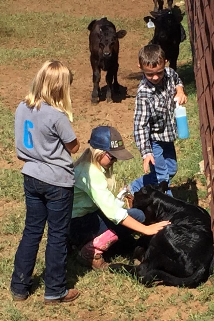 Chef Alli - A few more pics from the Woolfolk Ranch. I had...