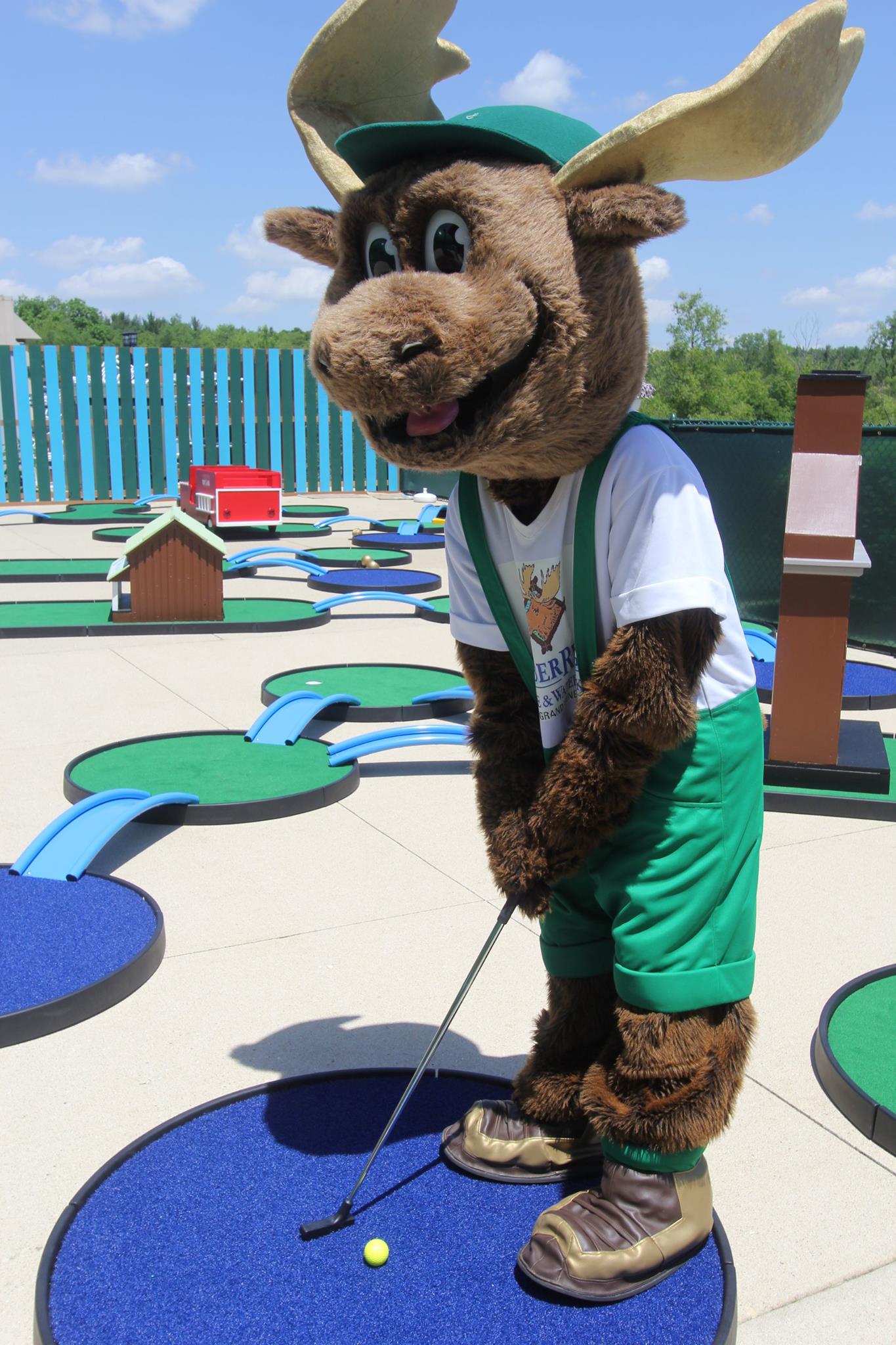Bruce the Moose is ready... - Timber Ridge Lodge & Waterpark | Facebook