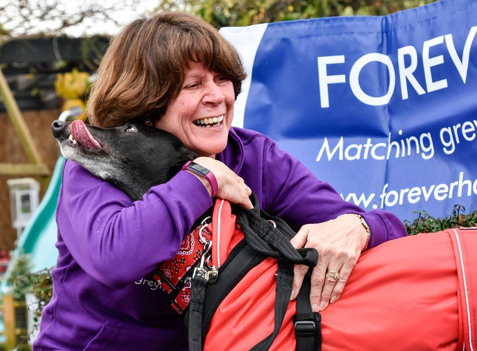 🐾🐾🎄😍 FOREVER HOME FRIDAY😍🎄🐾🐾 We... - Forever Hounds Trust
