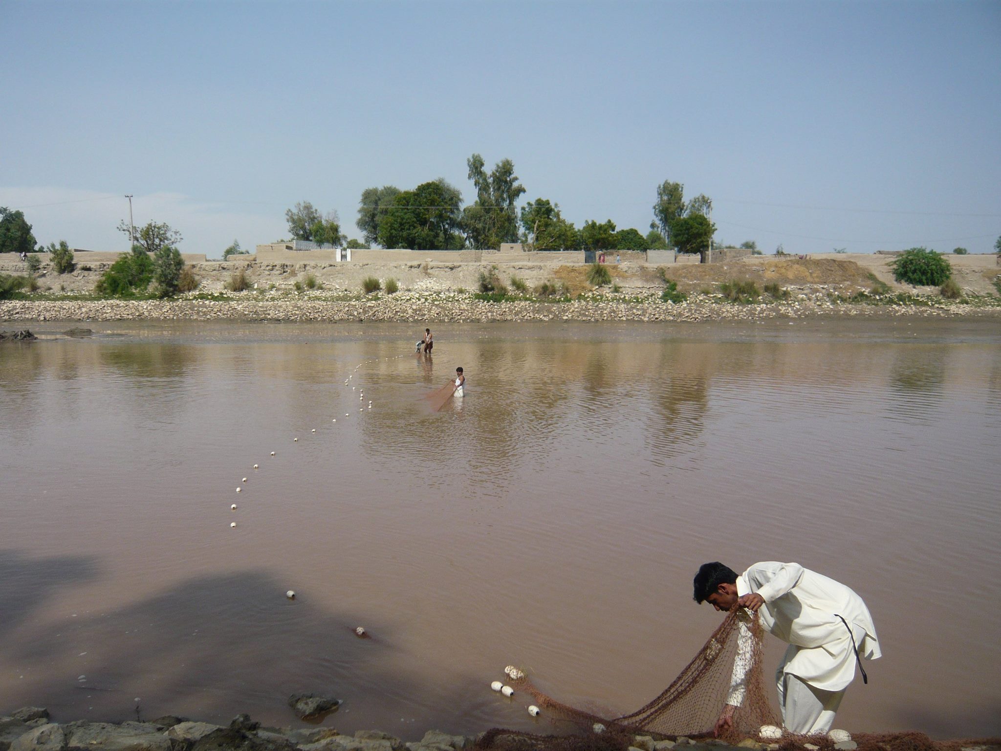 WWF-Pakistan - A male dolphin stranded in Patt Feeder...