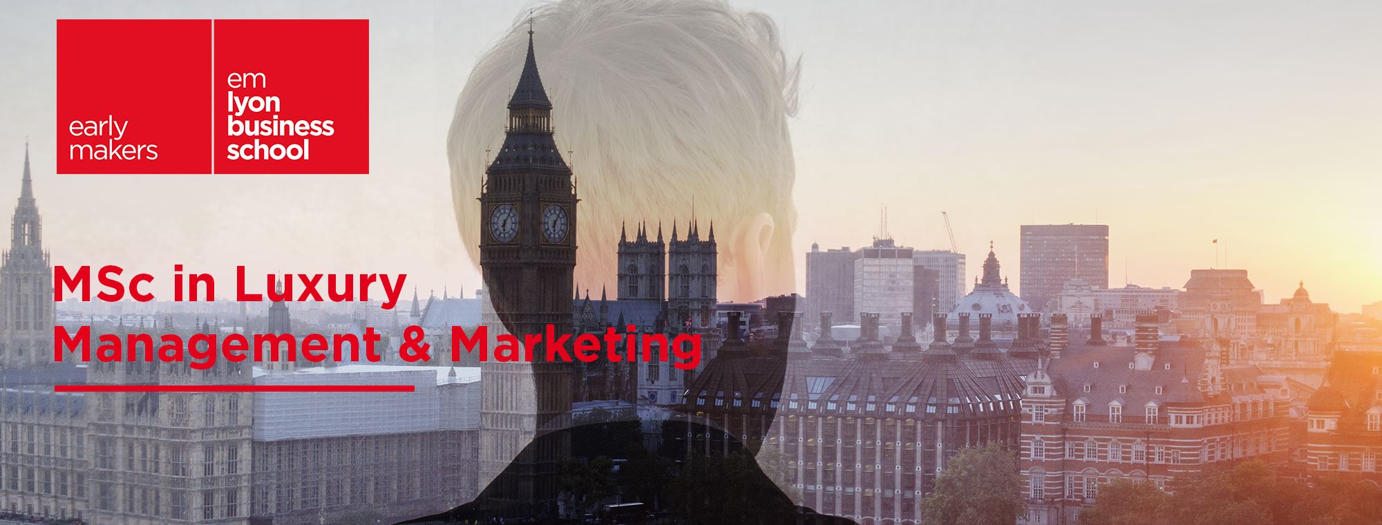 Msc In Luxury Management Marketing Emlyon