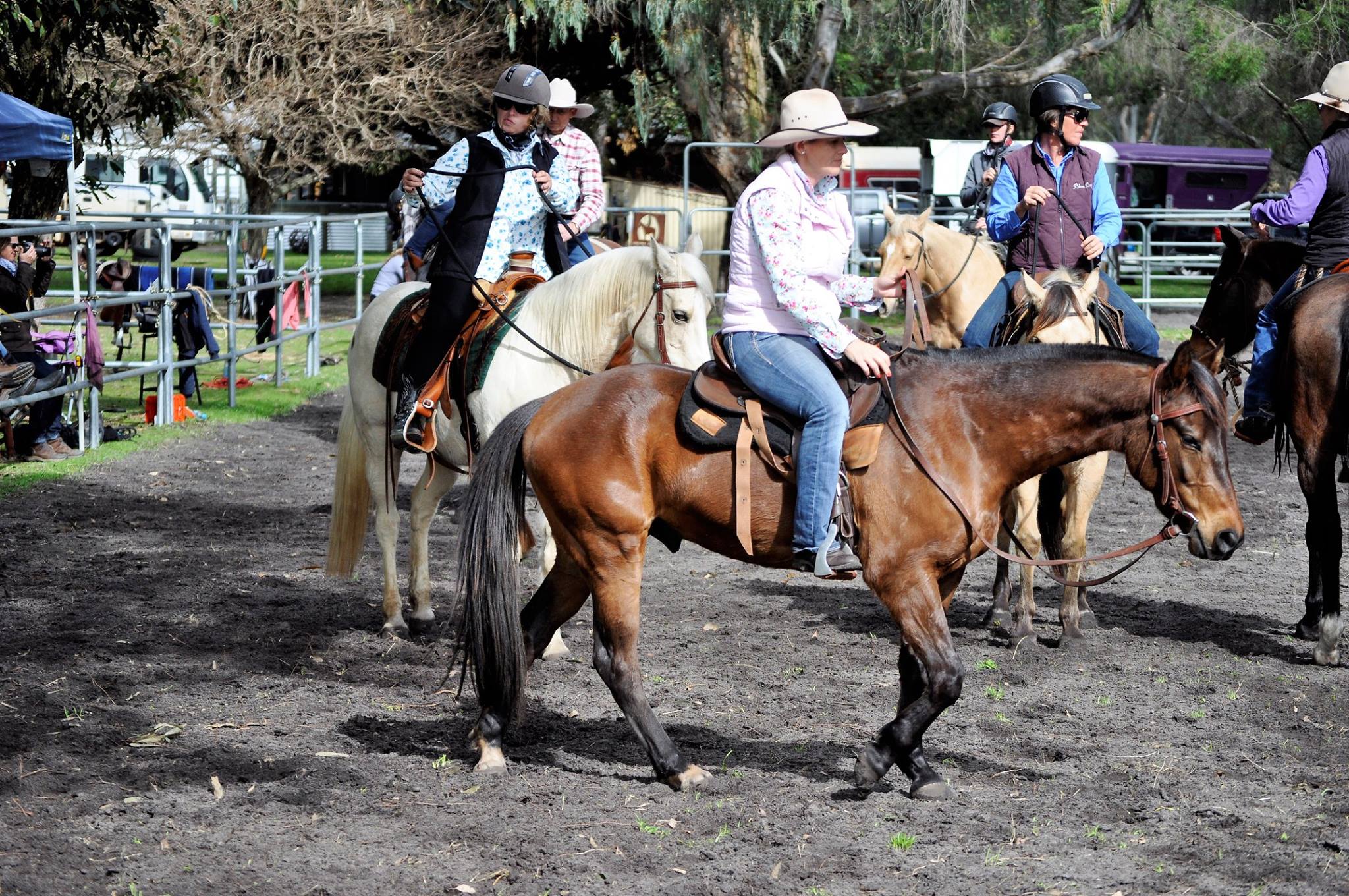 Some food for thought for you... - FernField Equestrian
