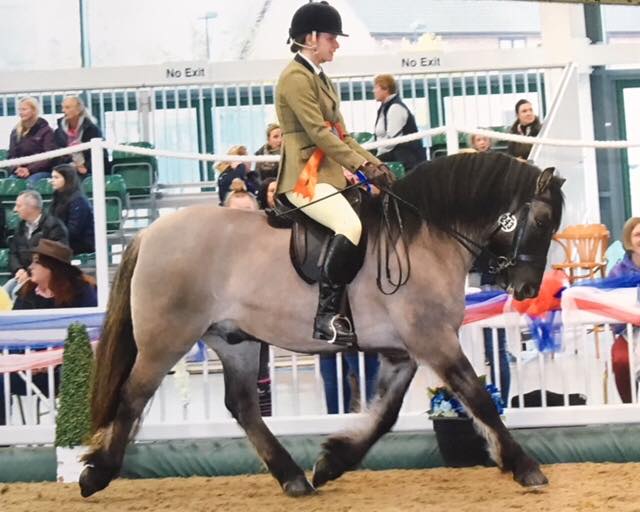 Lakes would like to say a HUGE well... - Lakes Riding Club | Facebook