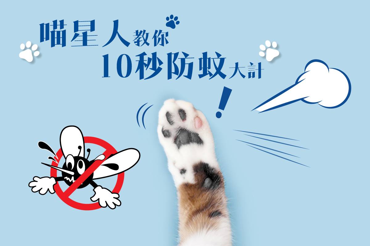 日本叮叮 - 【開學啦】... | Facebook