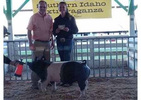 Show-Rite - GRAND CHAMPION MARKET HOG 2017 Southern Idaho... | Facebook