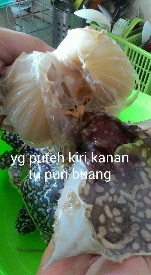 Mingguan Wanita Ooo Macam Ni Cara Siang Ketam Tapi Facebook