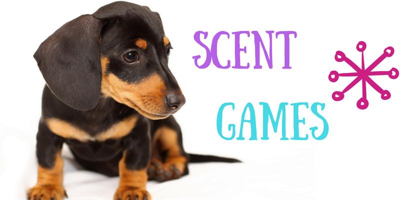 DSPCA - SCENT GAMES WORKSHOP This FUN workshop takes your dog’s ...