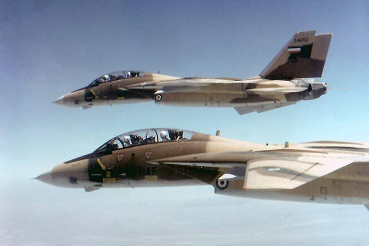 Grumman F-14 A Tomcat - Iranian Air Force Academy 12594