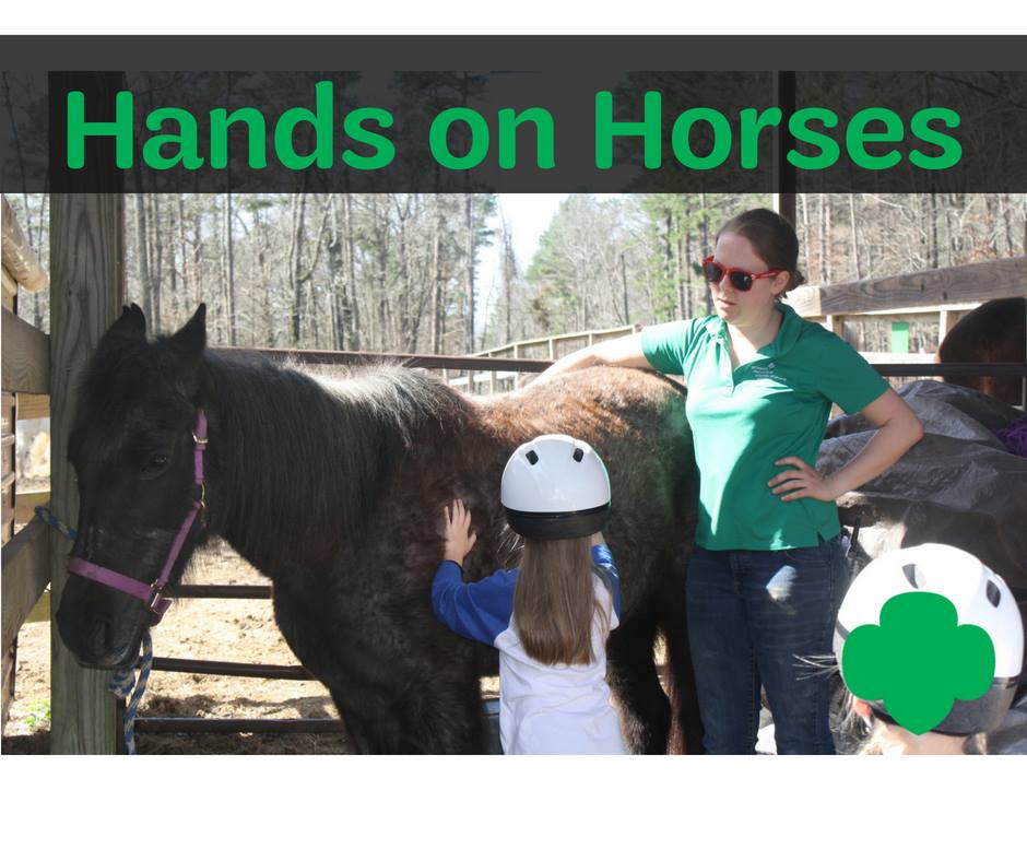 Learn To Groom A Horse And Make Your Own Girl Scouts - 
