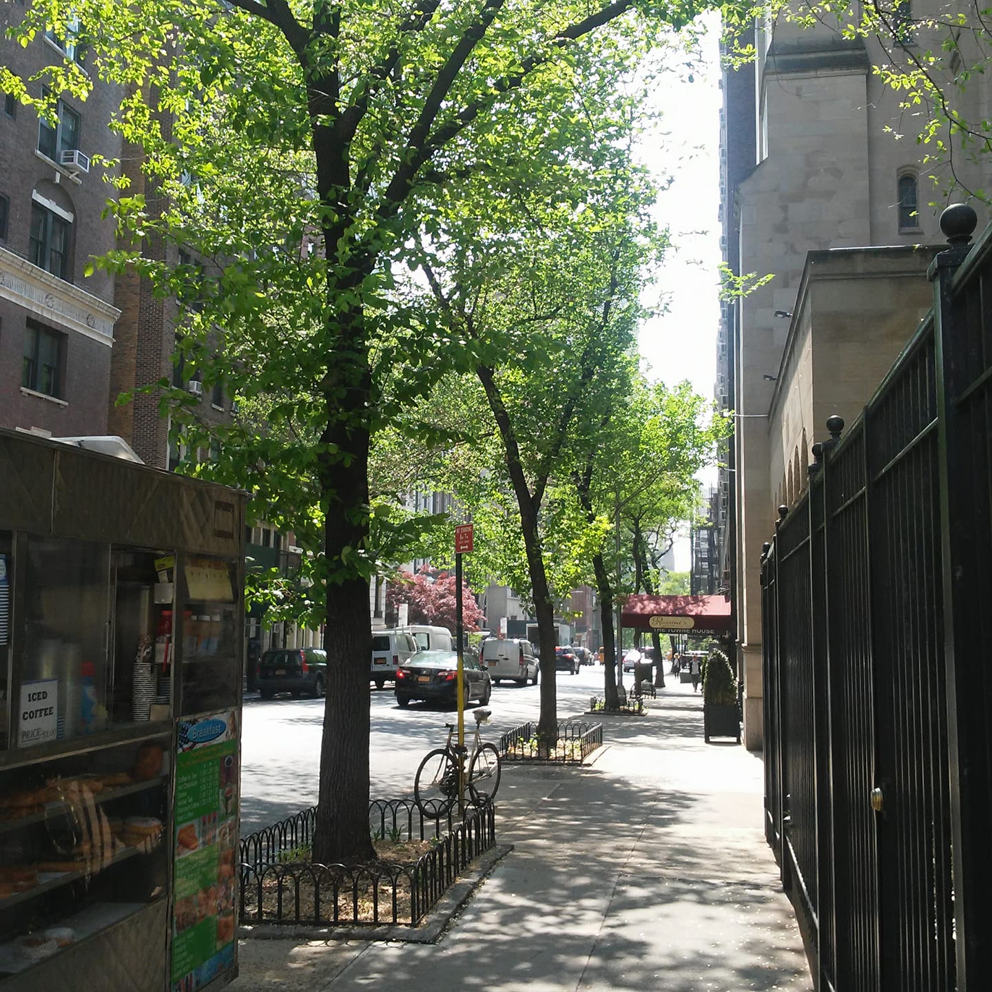 Evidence that trees and sunlight can coexist with 20 story 