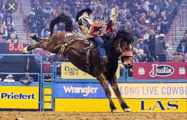 Tom Reeves rodeo schools:... - Lazy J Rodeo Safety Equipment | Facebook