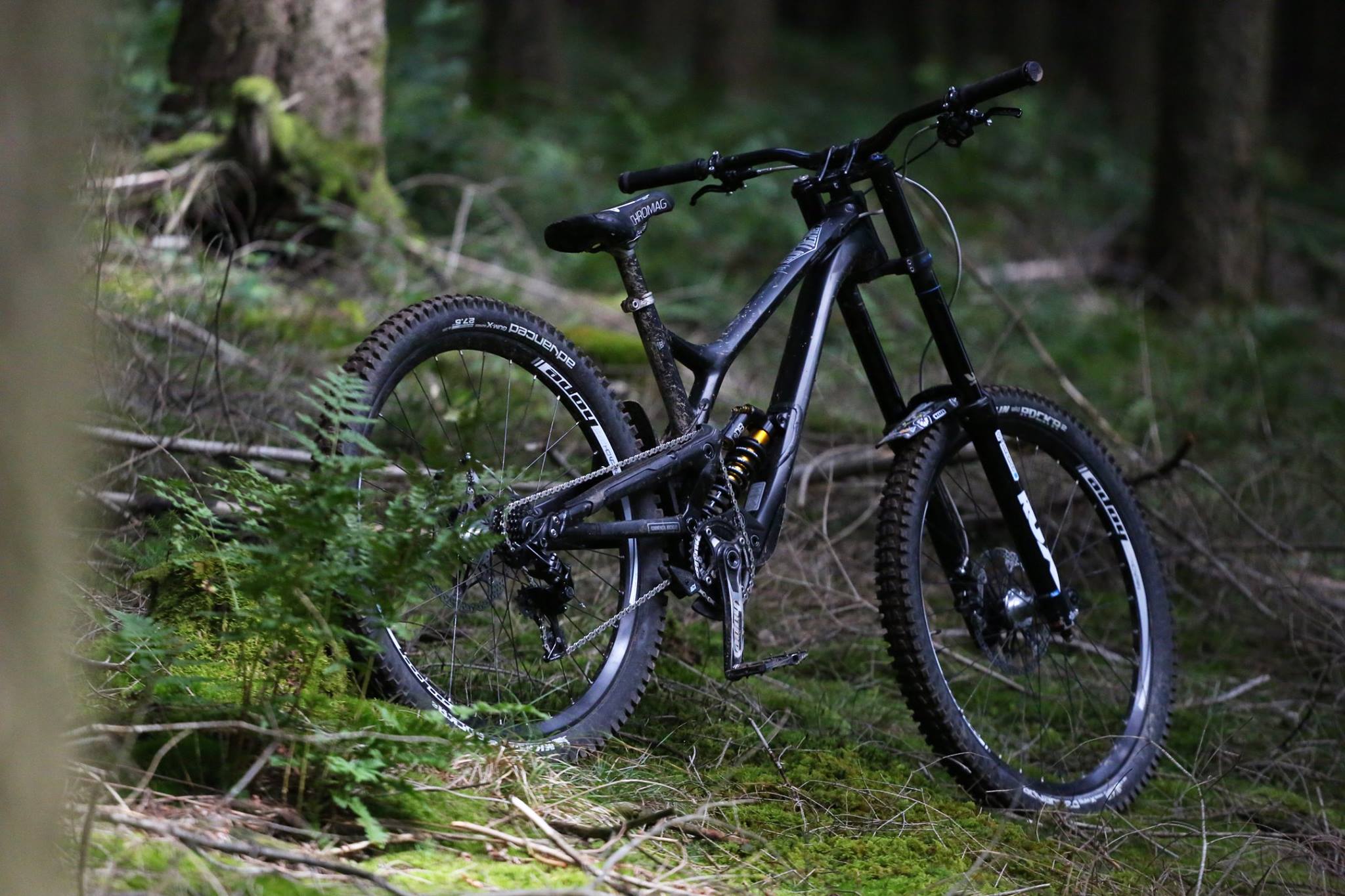 HOMIES bike check with the SUPREME DH V4.2. Who