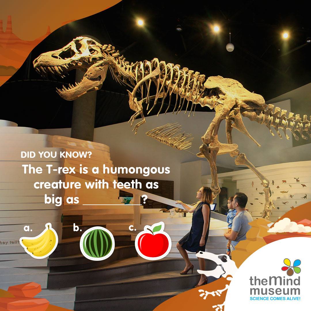 The Mind Museum - With their razor-sharp teeth and strong...