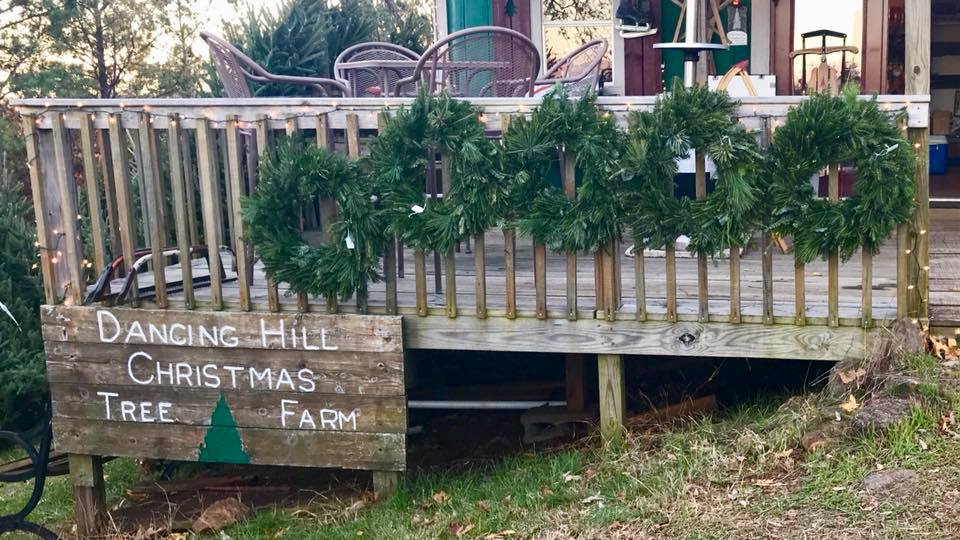 The elves were hard at... Dancing Hill Christmas Tree Farm